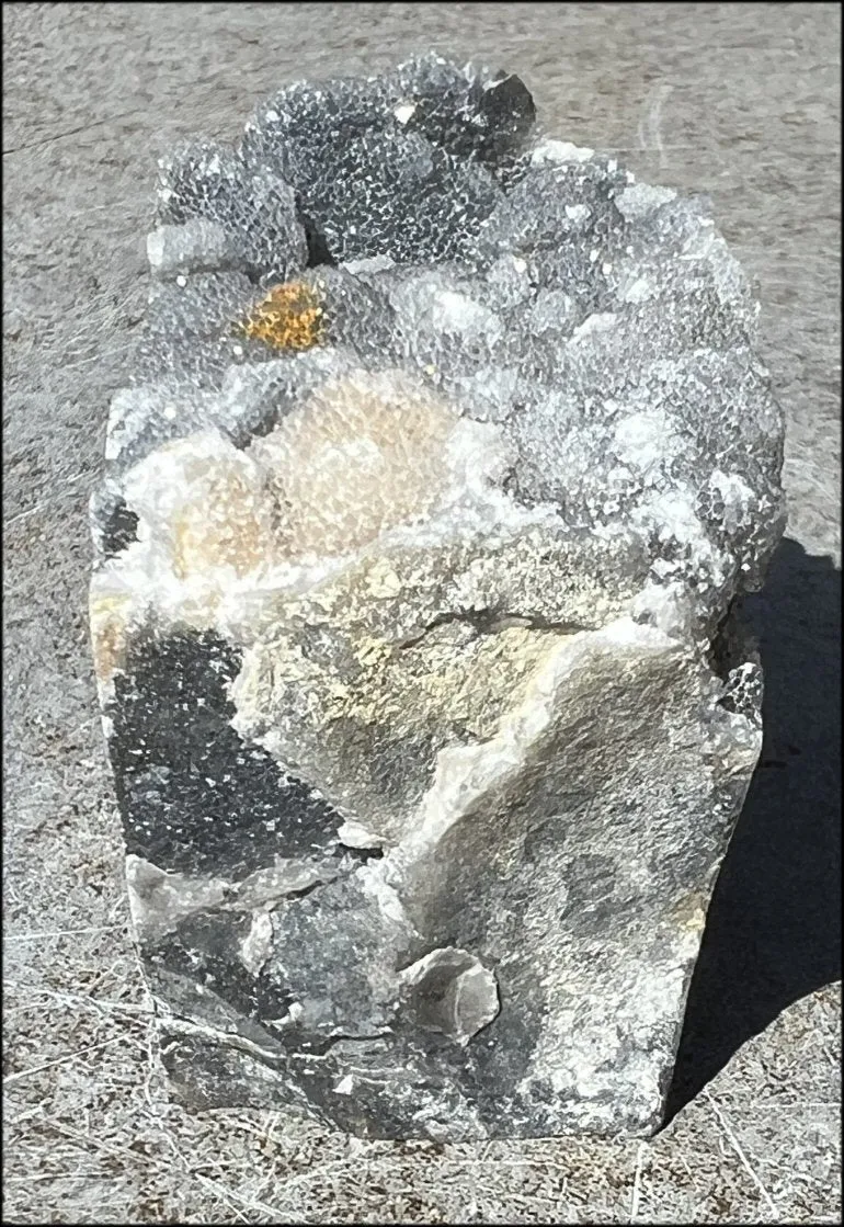 Quartz METAMORPHOSIS Crystal Skull with Fabulous Druzy Formations and Vugs
