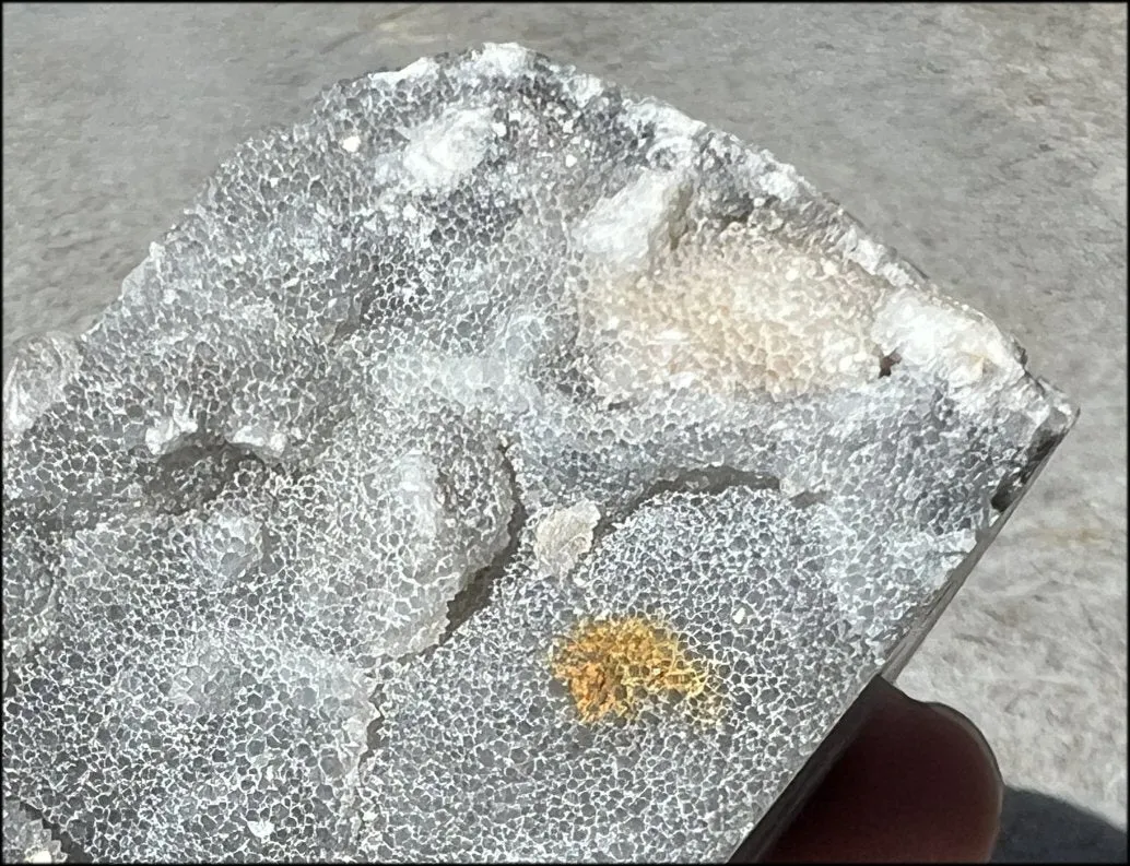 Quartz METAMORPHOSIS Crystal Skull with Fabulous Druzy Formations and Vugs