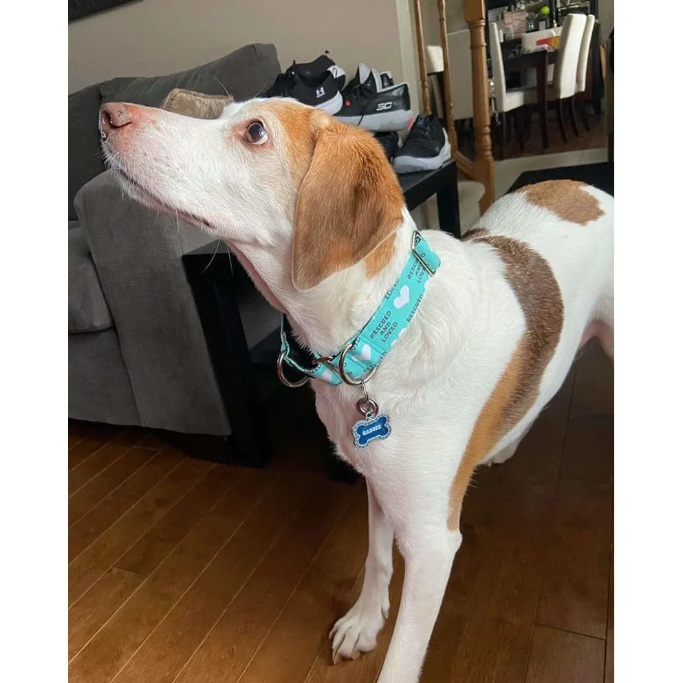 Rescued And Loved - Teal