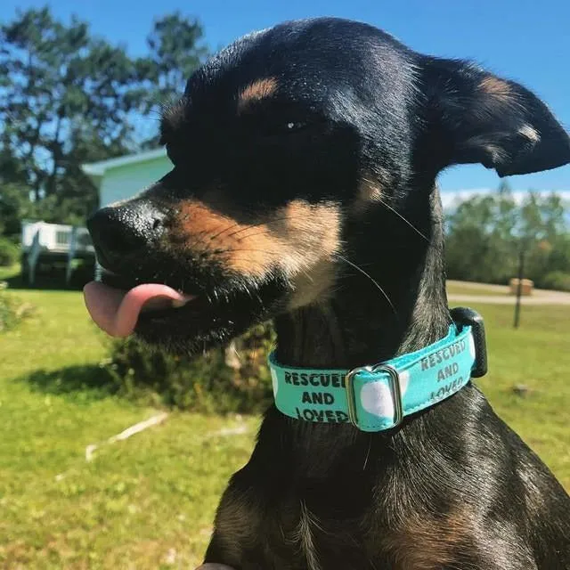 Rescued And Loved - Teal