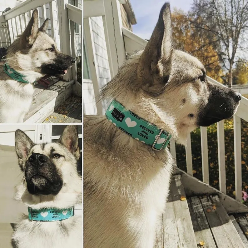 Rescued And Loved - Teal