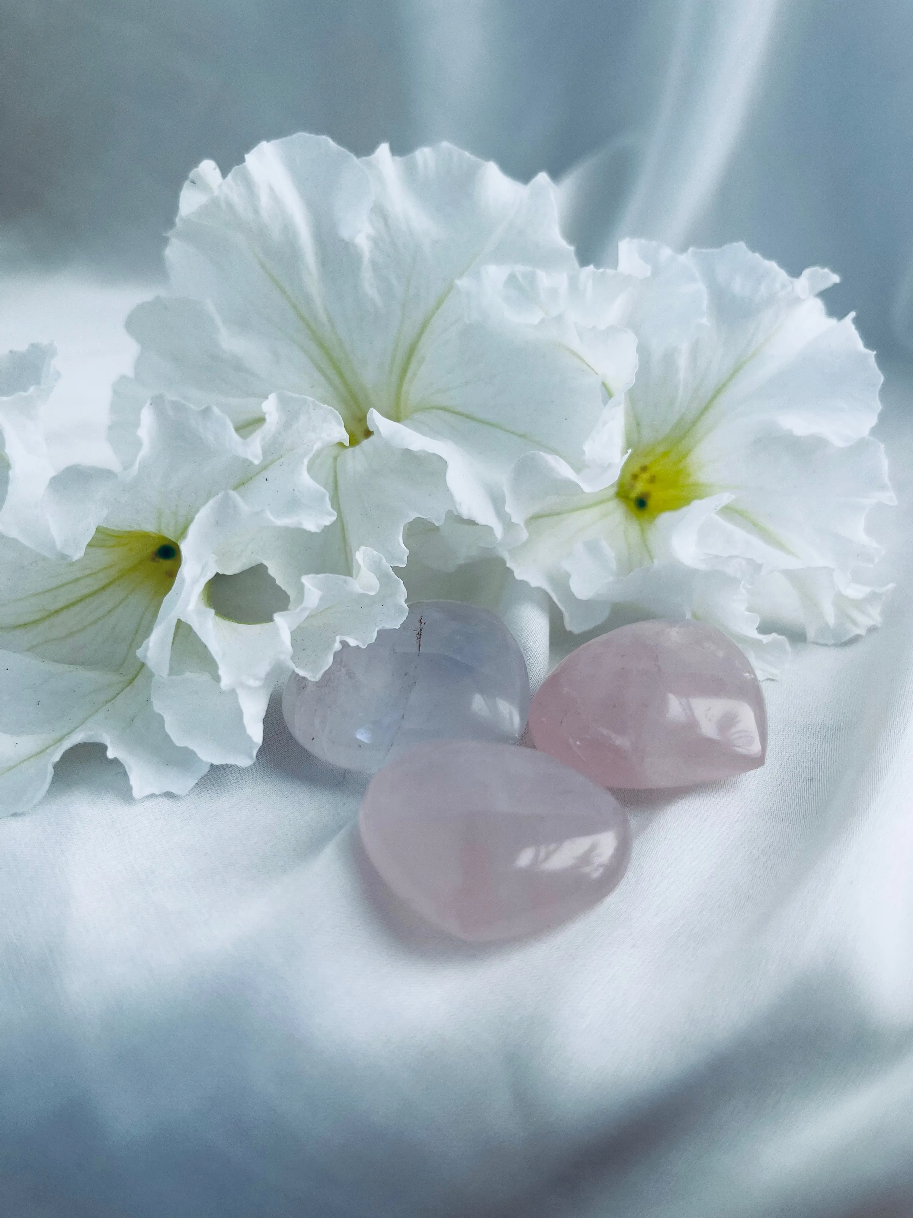 Rose Quartz Pocket Stones