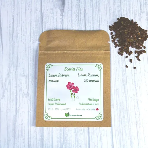 Scarlet Flax Linum Rubrum Seeds