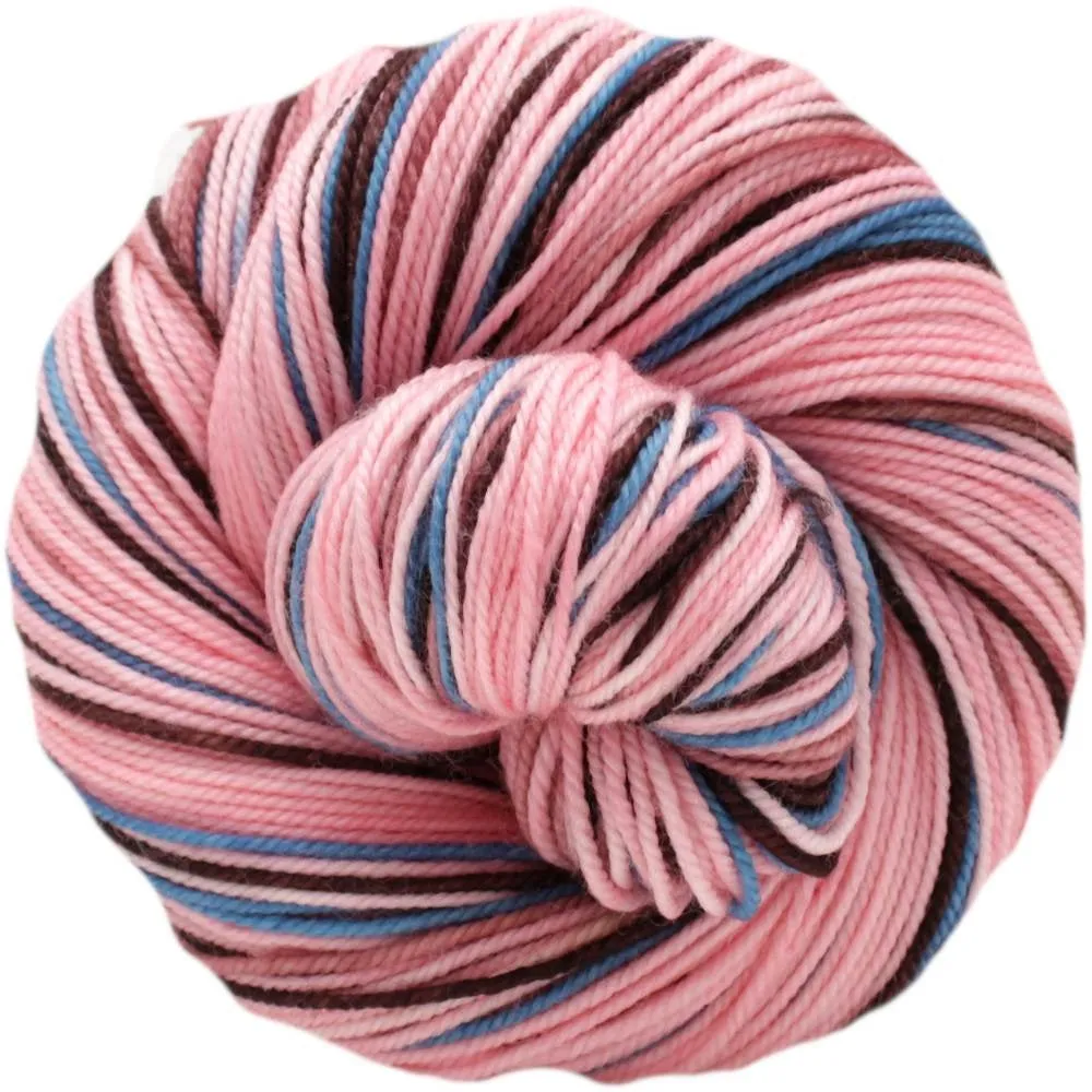 Schinia