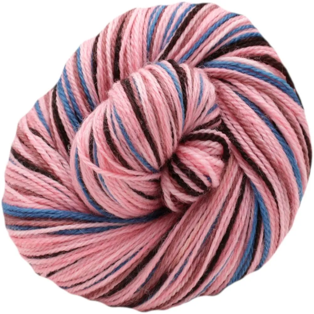 Schinia