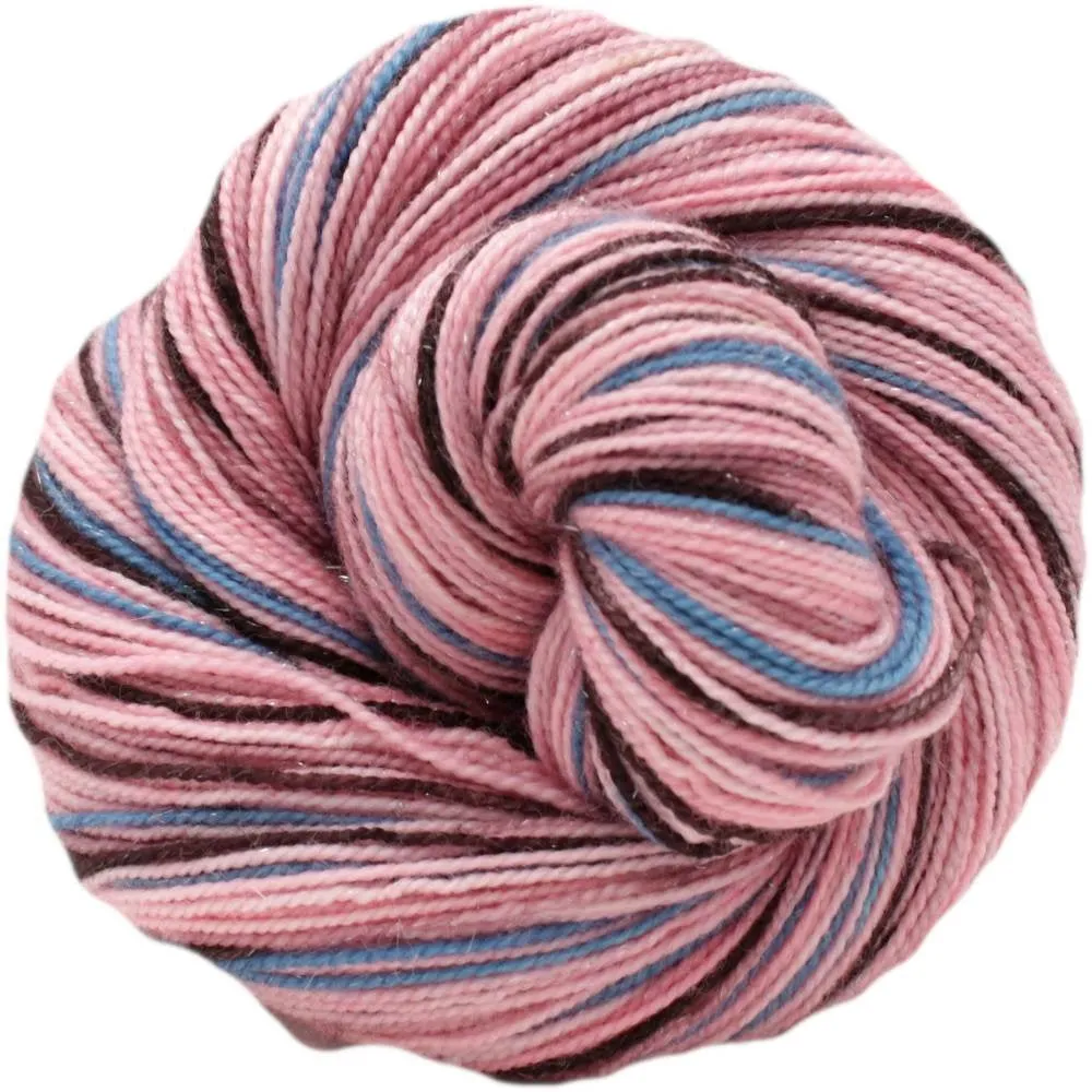 Schinia