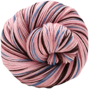 Schinia