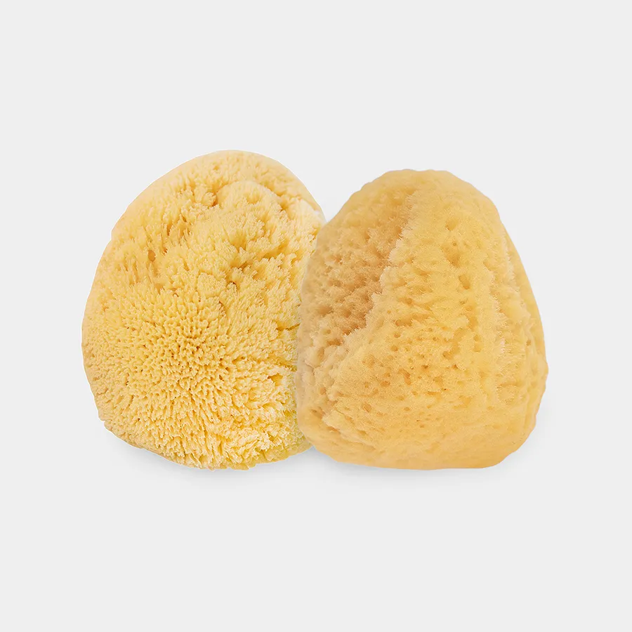 Sea Sponge Apothecary Set