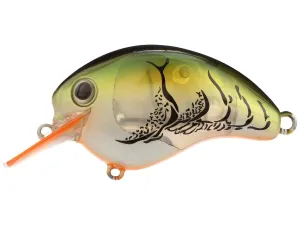 Shimano World Rush Flash Boost