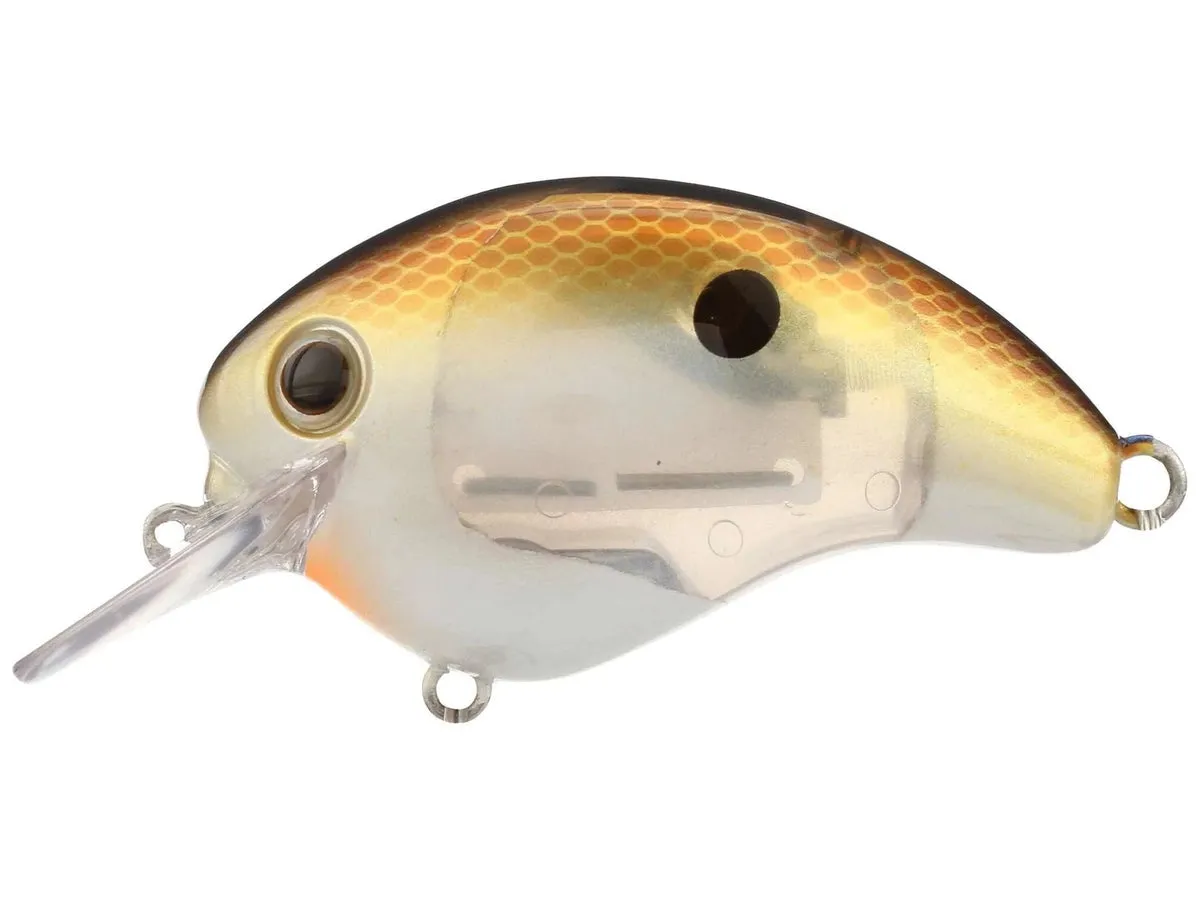 Shimano World Rush Flash Boost