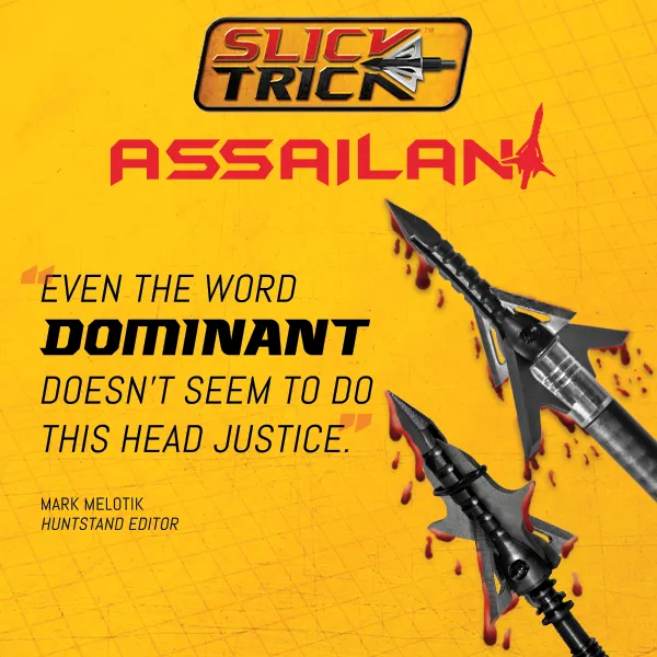 Slick Trick Assailant Hybrid Broadhead