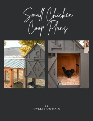 Small Chicken Coop Building Plans