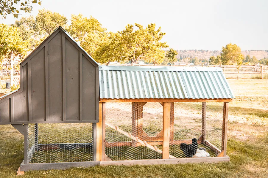 Small Chicken Coop Building Plans