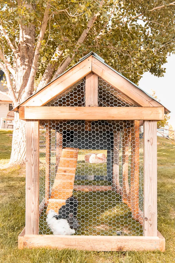 Small Chicken Coop Building Plans
