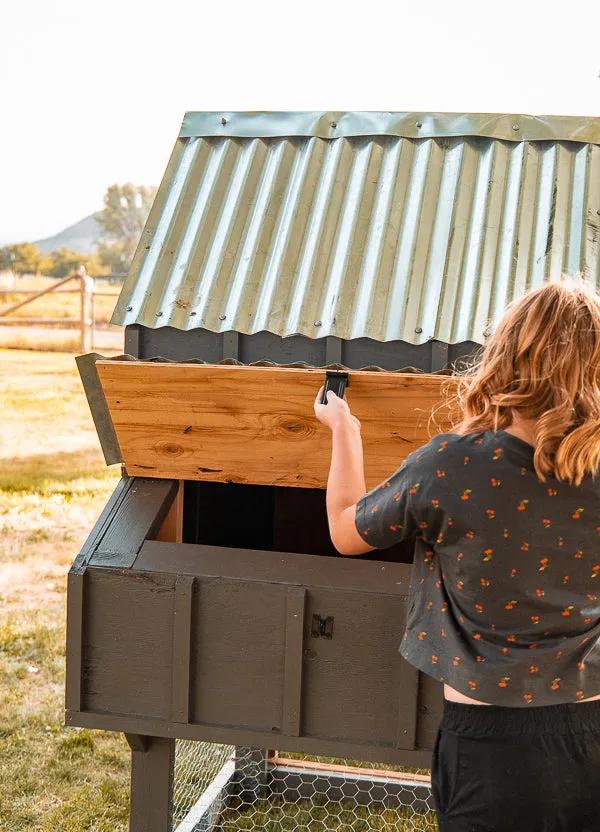 Small Chicken Coop Building Plans