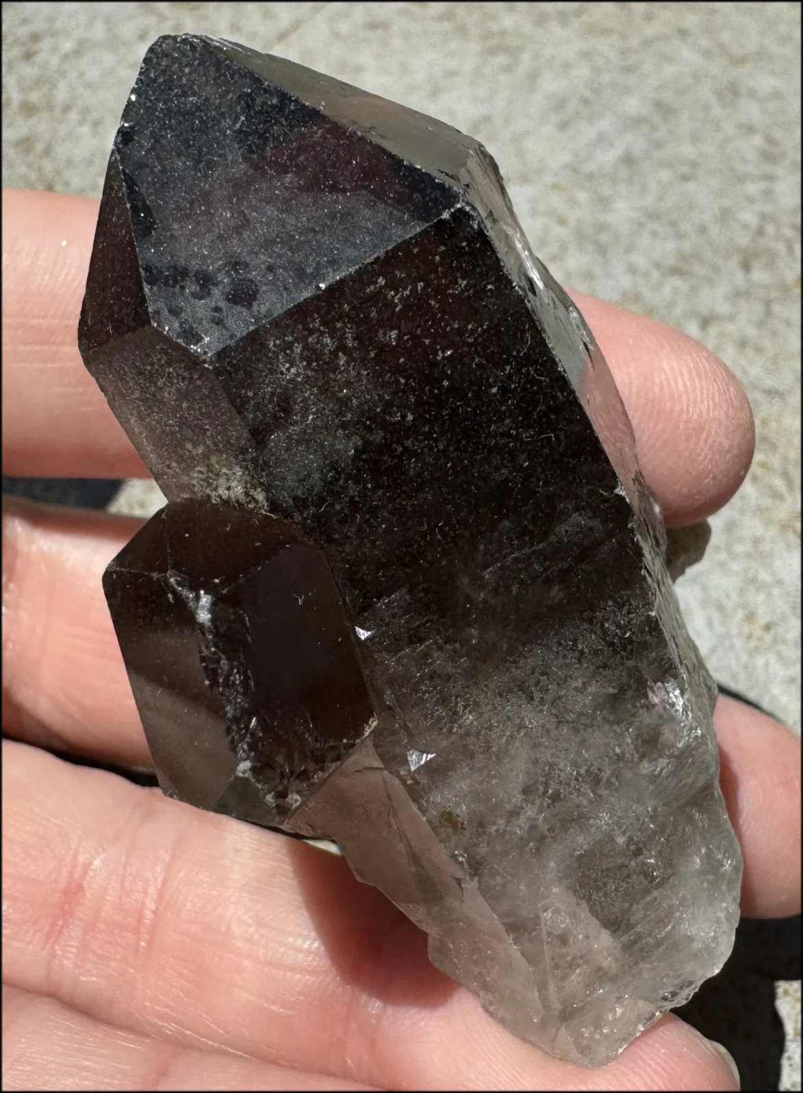 Smoky Quartz Crystal Cluster with Hematite - Root Chakra, Grounding