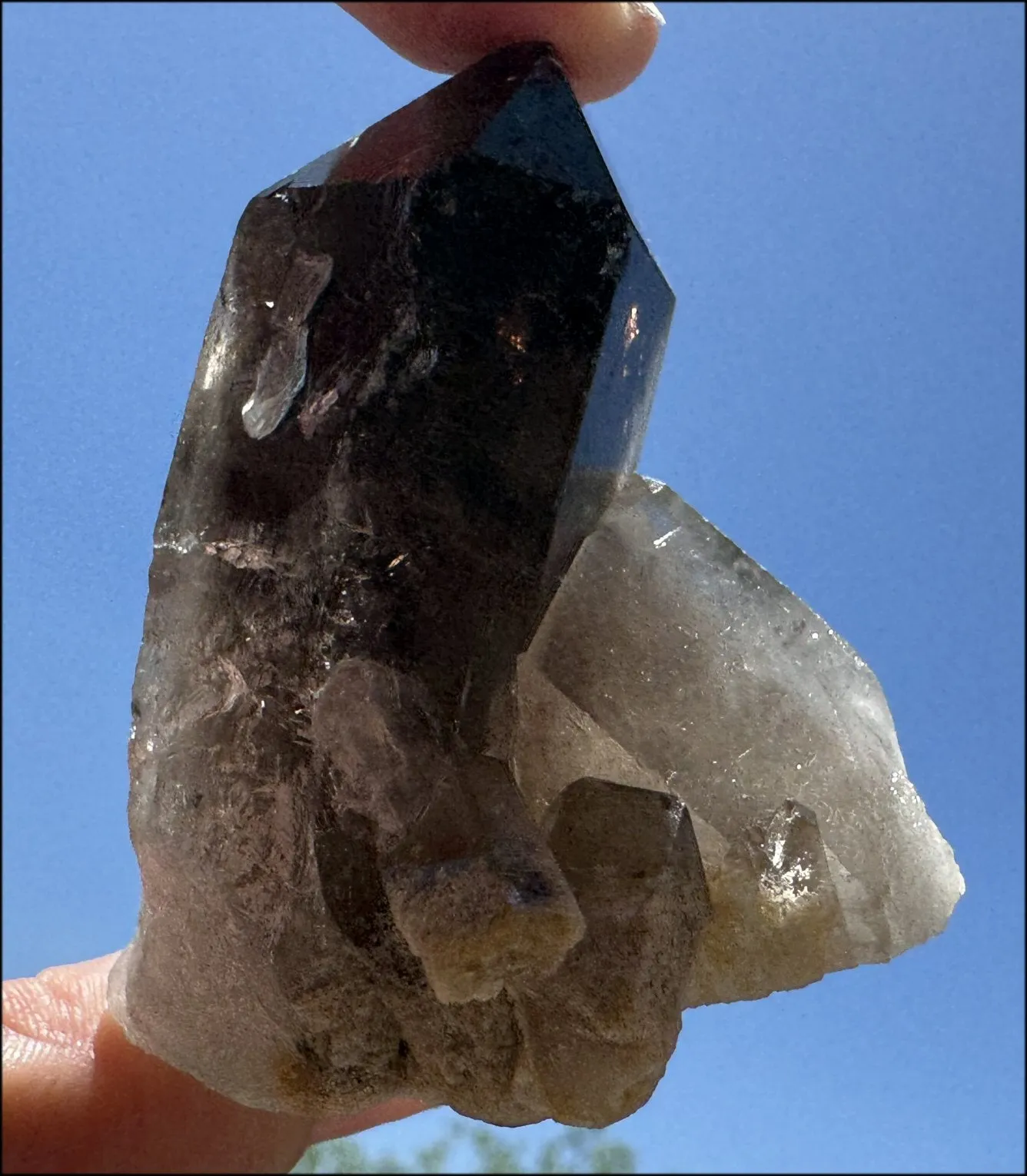 Smoky Quartz Crystal Cluster with Hematite - Root Chakra, Grounding