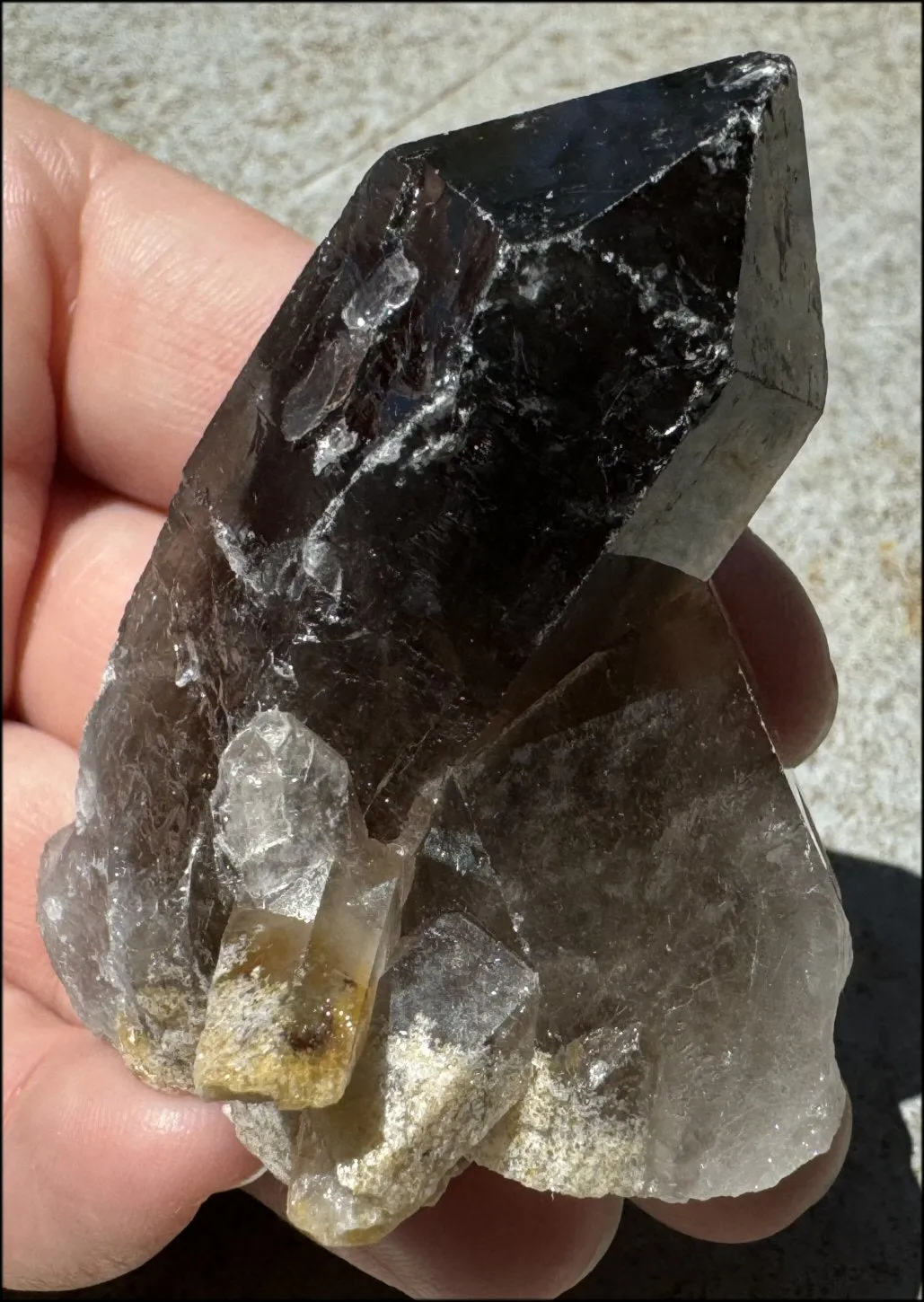 Smoky Quartz Crystal Cluster with Hematite - Root Chakra, Grounding