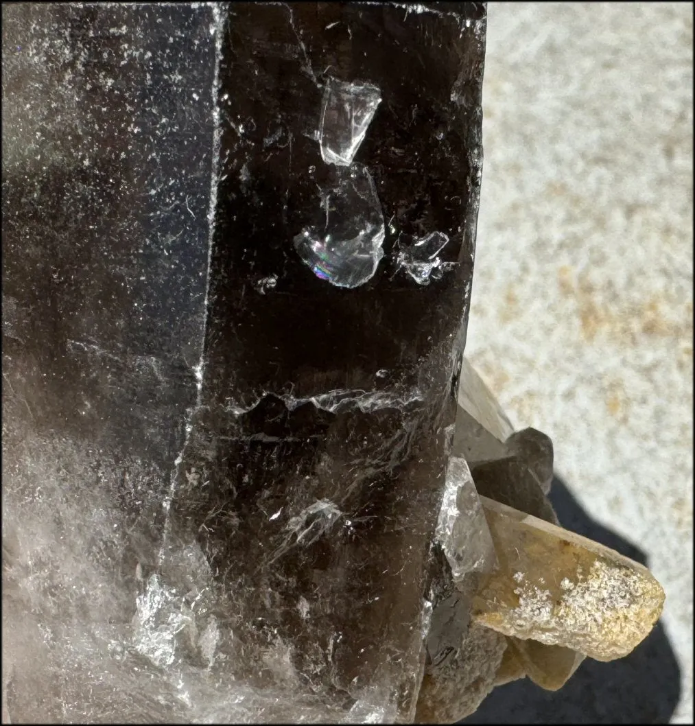 Smoky Quartz Crystal Cluster with Hematite - Root Chakra, Grounding