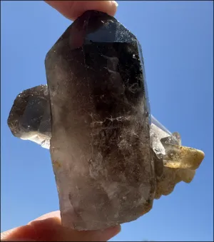 Smoky Quartz Crystal Cluster with Hematite - Root Chakra, Grounding