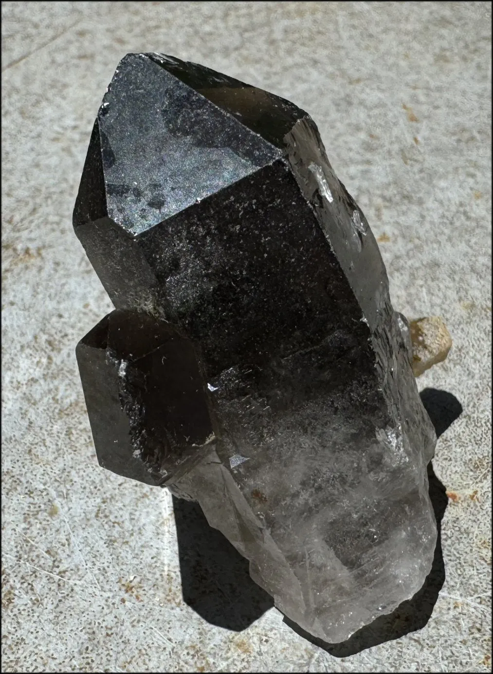 Smoky Quartz Crystal Cluster with Hematite - Root Chakra, Grounding