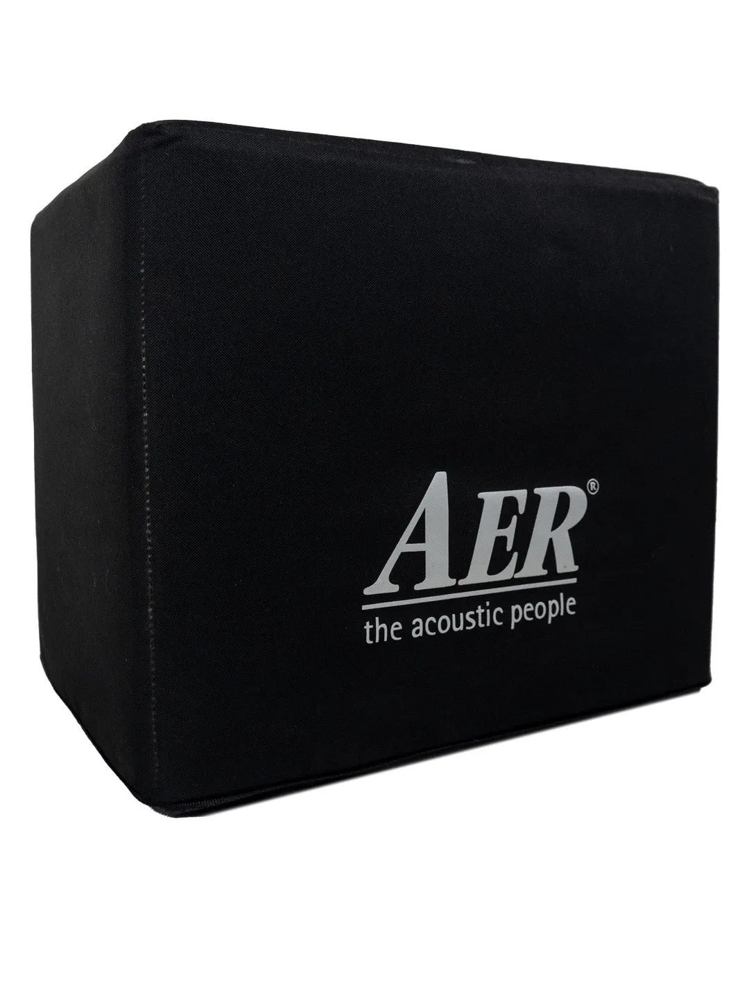 SOLD - AER Domino 3 Stereo Acoustic Guitar Amplifier – Germany 2015