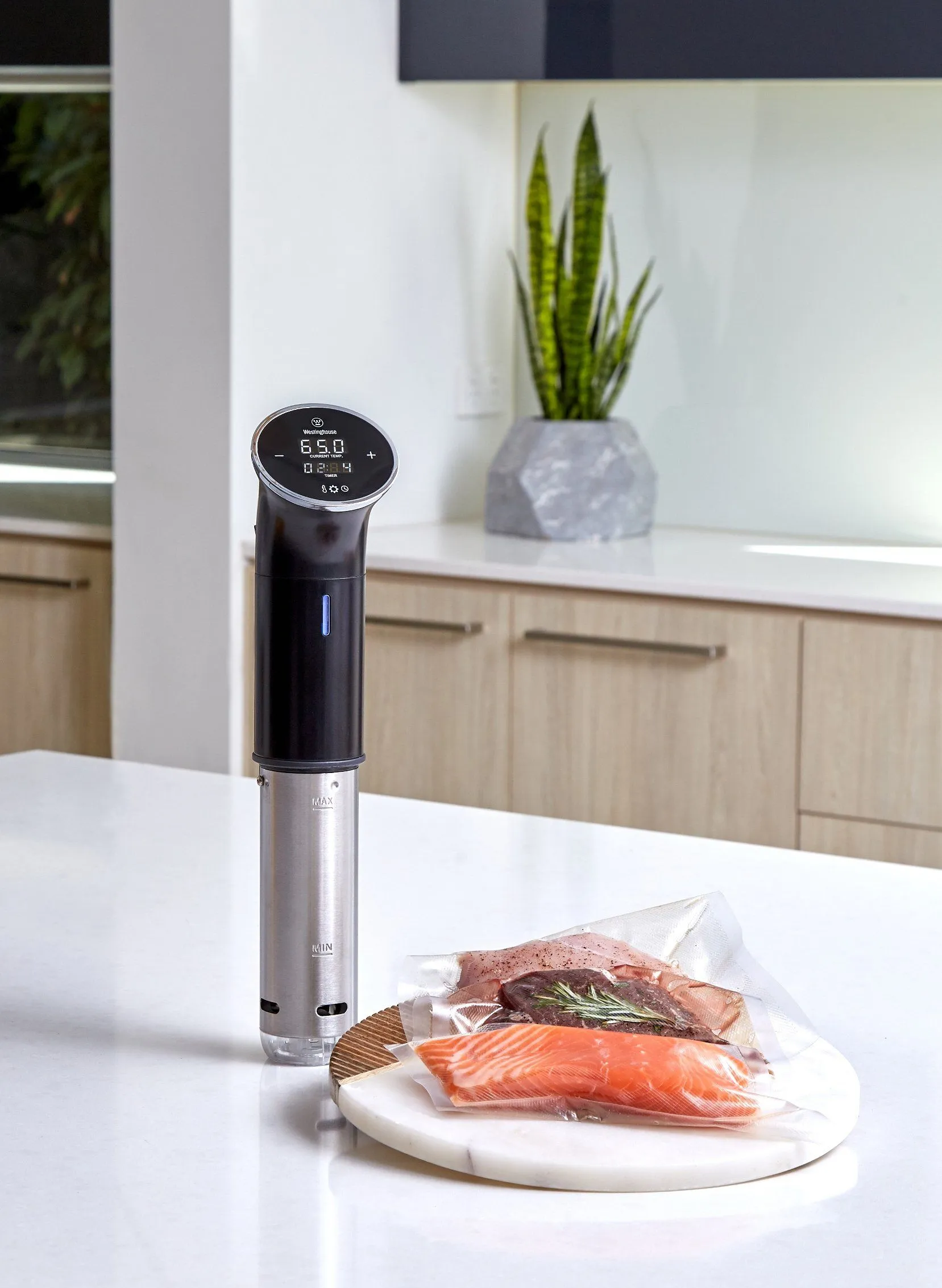 Sous Vide Circulator