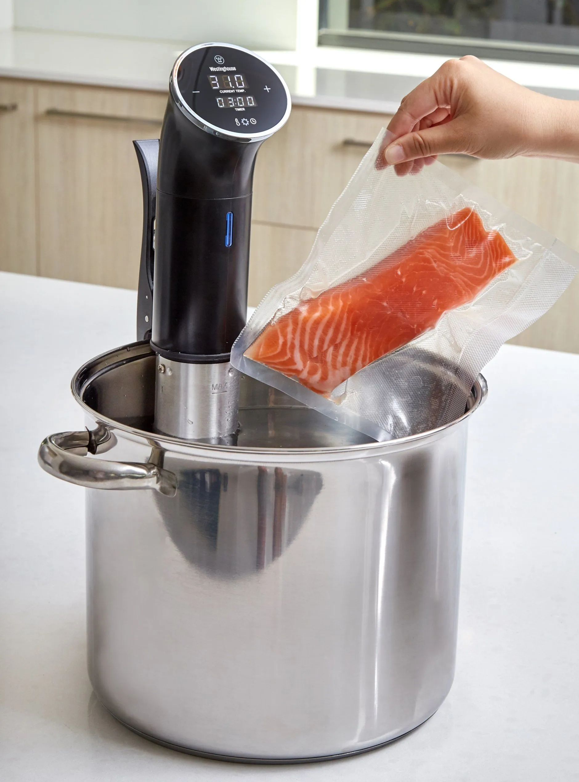 Sous Vide Circulator