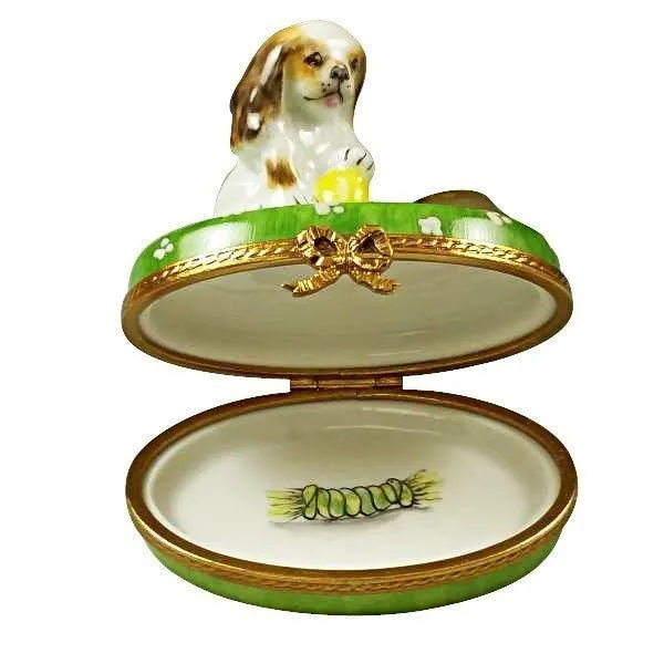Spaniel Puppy with Ball and Bowl