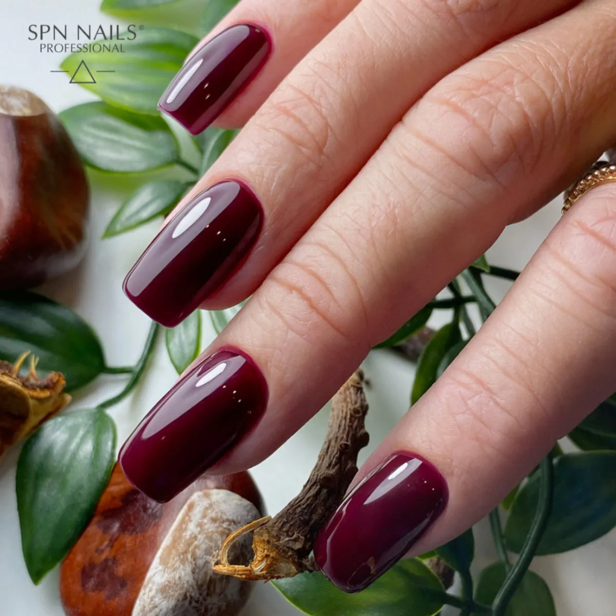 SPN Nails UV/LED Gel Polish 999 Wine Not?