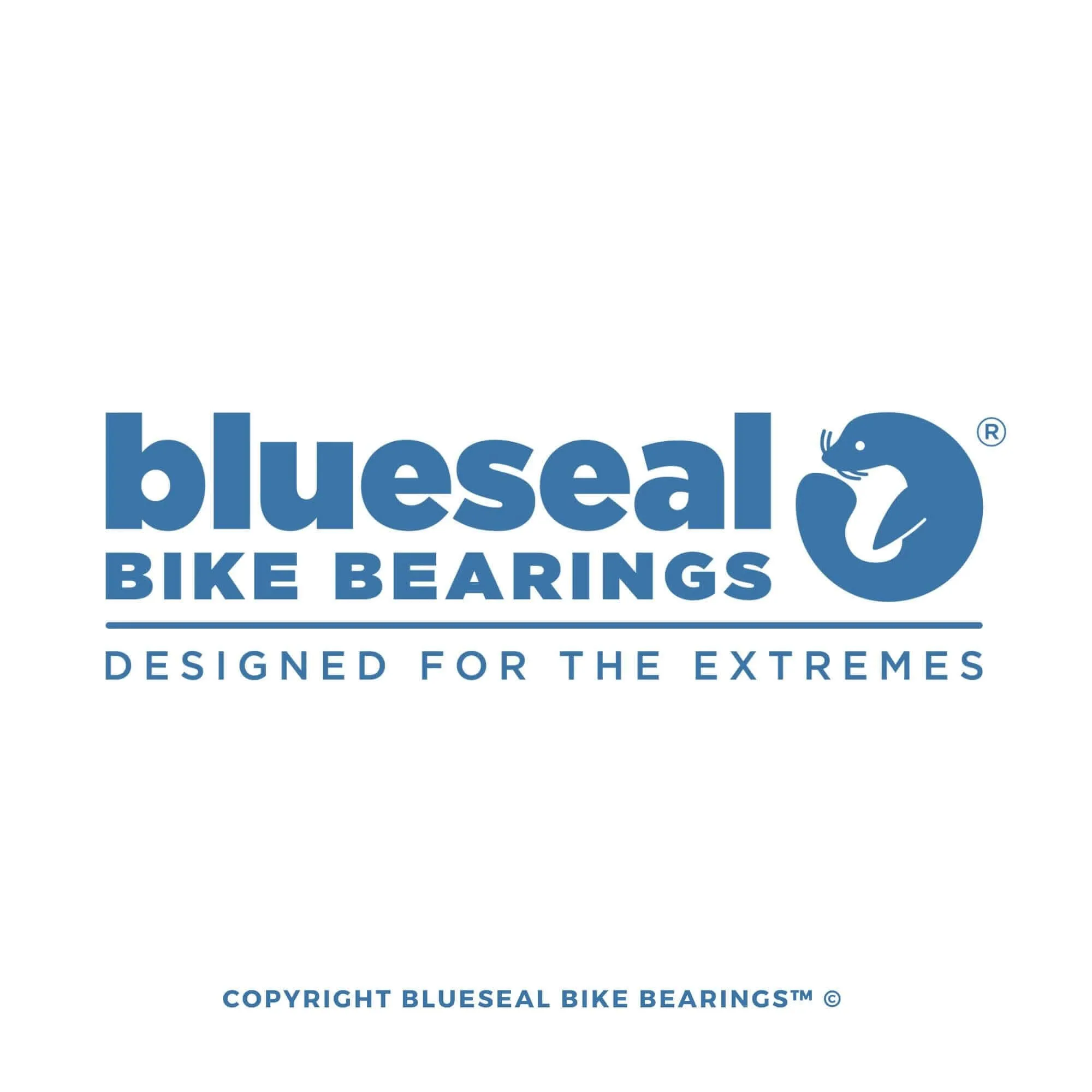 Stereo Hybrid Headset Bearings | Cube | Blueseal Bike Bearings™