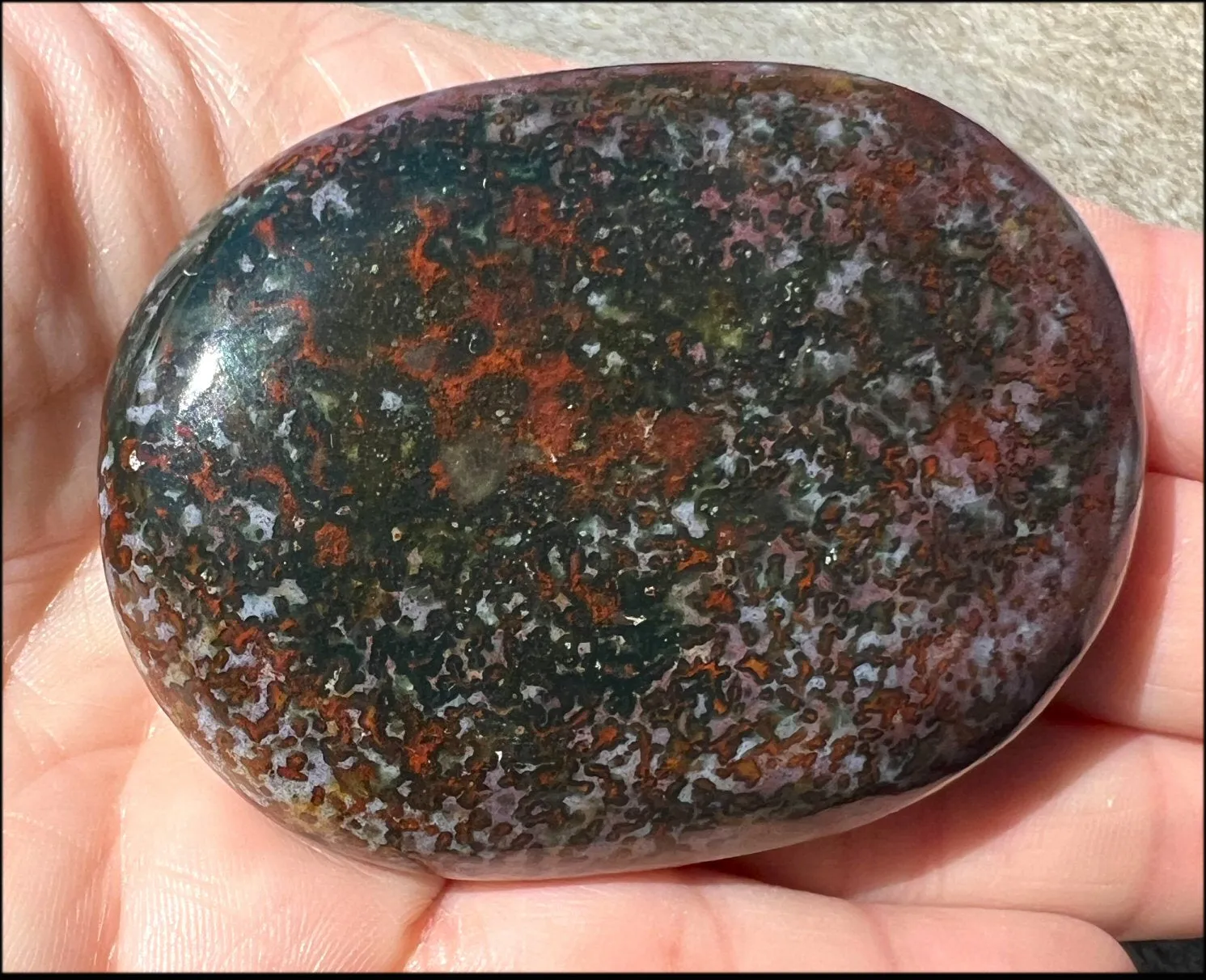 ~Stunning~ Bloodstone   Ocean Jasper Mix Crystal Palm Stone