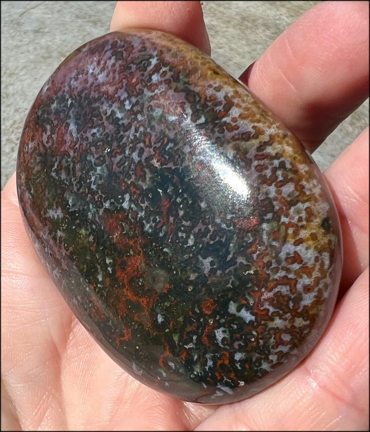 ~Stunning~ Bloodstone   Ocean Jasper Mix Crystal Palm Stone