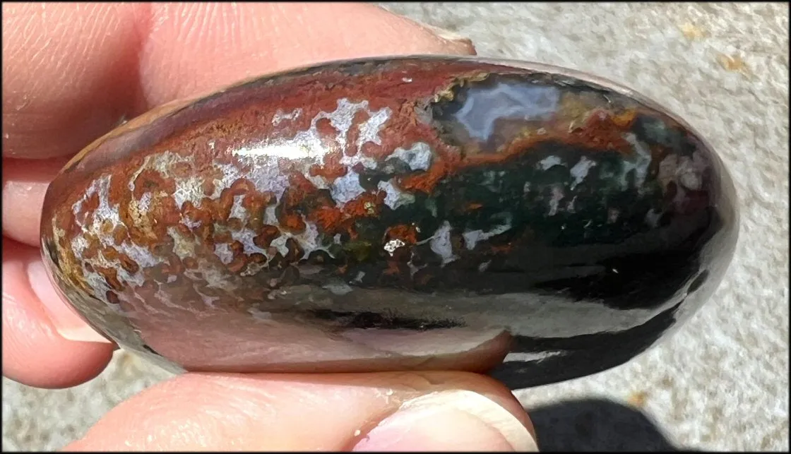 ~Stunning~ Bloodstone   Ocean Jasper Mix Crystal Palm Stone