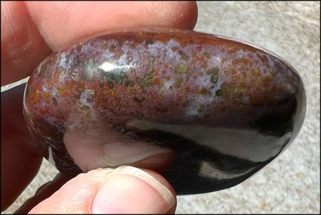 ~Stunning~ Bloodstone   Ocean Jasper Mix Crystal Palm Stone