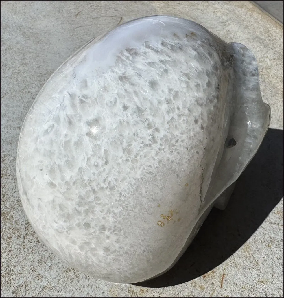 ~Super Sale~ LifeSize Agate GEODE Crystal Skull with Sparkly Druzy Lined Facial VUG!