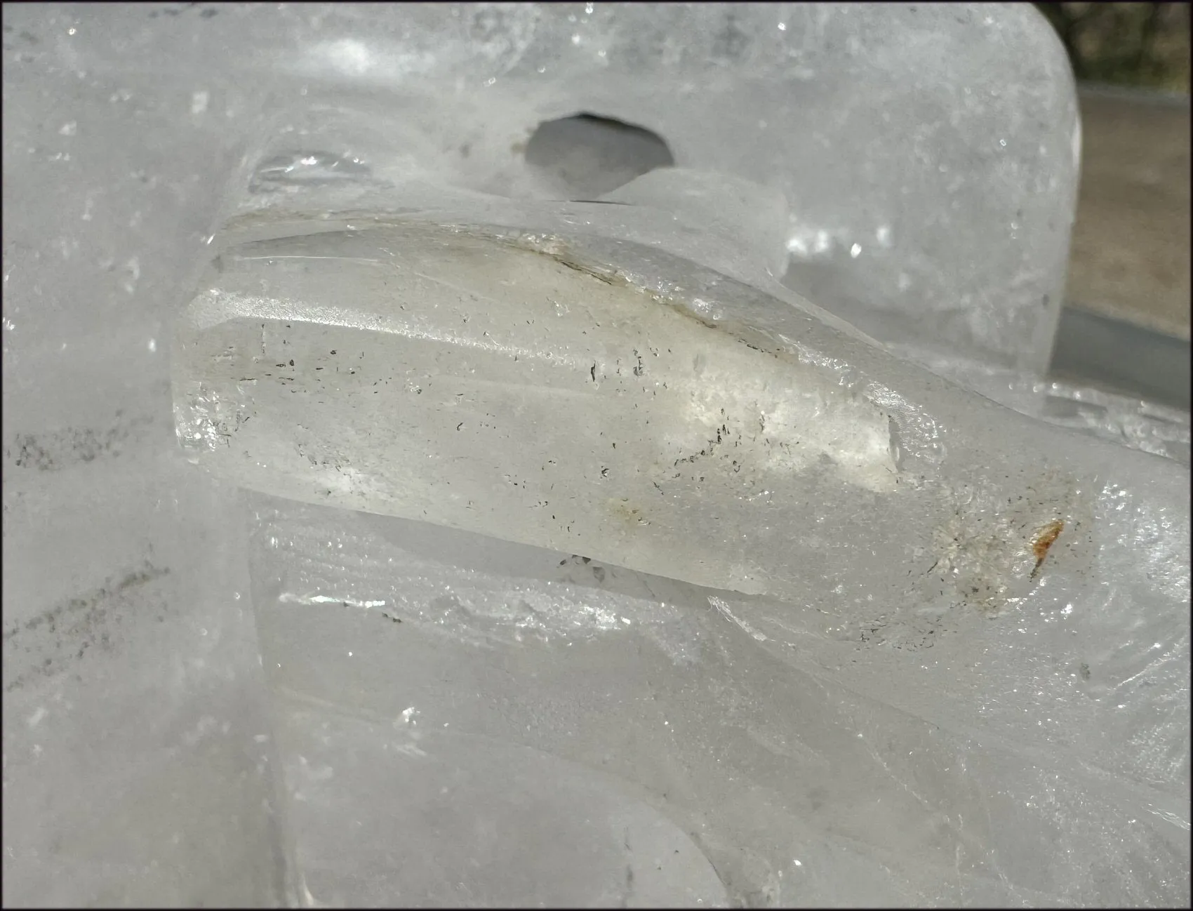 ~Super Sale~ LifeSize Himalayan Quartz Crystal Skull with Chlorite, Hematite!