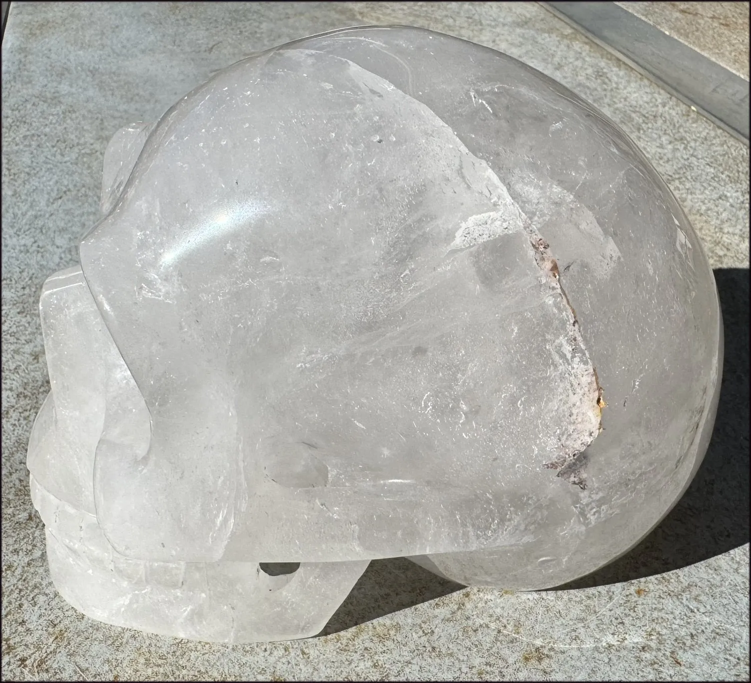 ~Super Sale~ LifeSize Himalayan Quartz Crystal Skull with Chlorite, Hematite!