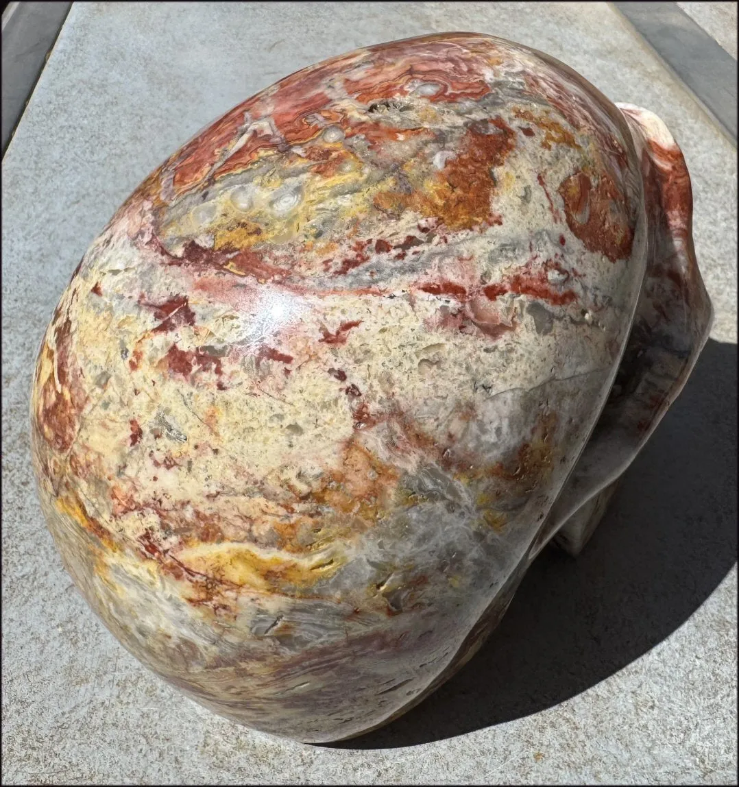 ~Super Sale~ LifeSize RED Crazy Lace Agate Crystal Skull - Laughter, Divination - 15lbs 