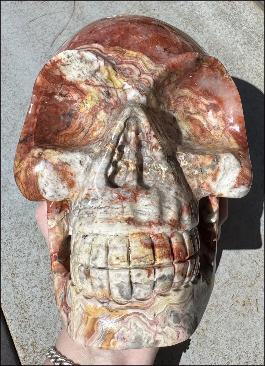 ~Super Sale~ LifeSize RED Crazy Lace Agate Crystal Skull - Laughter, Divination - 15lbs 