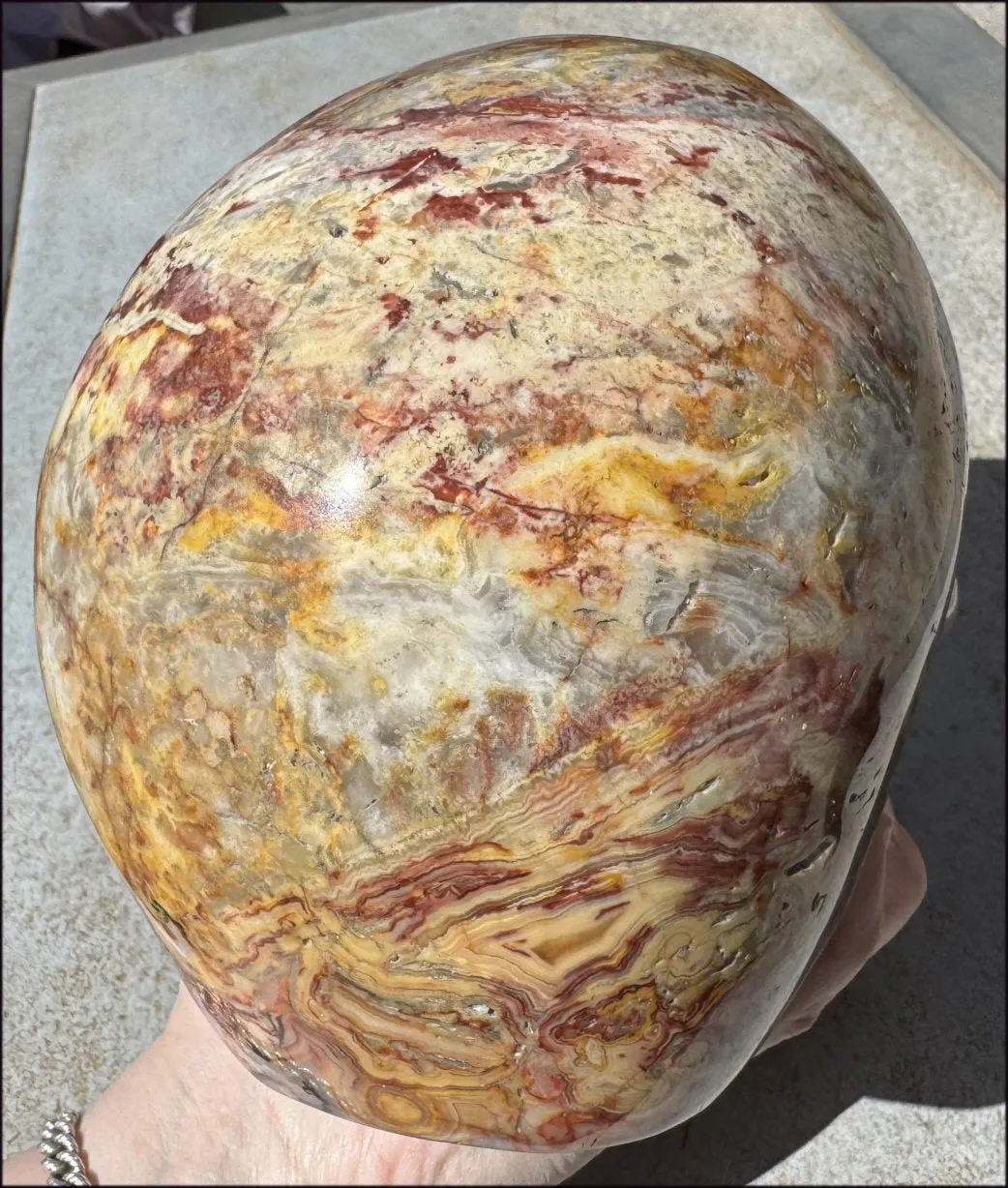 ~Super Sale~ LifeSize RED Crazy Lace Agate Crystal Skull - Laughter, Divination - 15lbs 