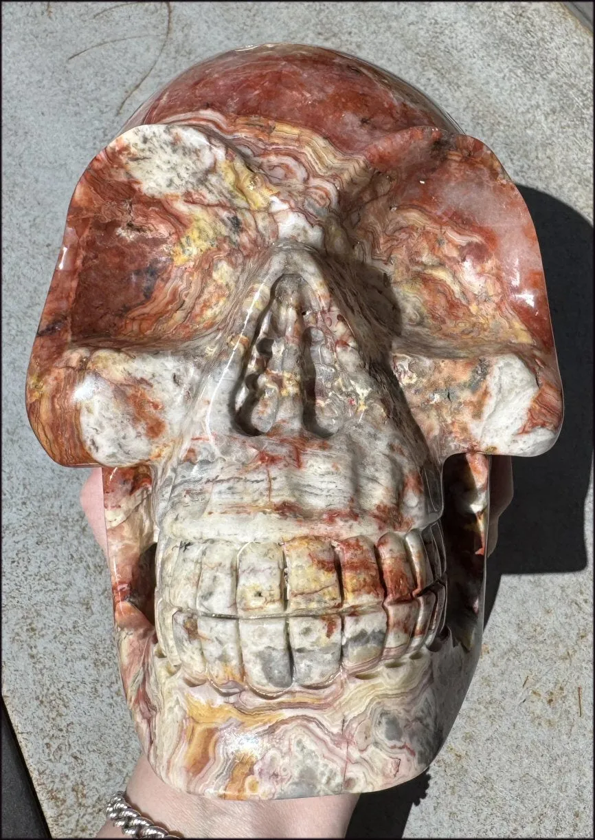 ~Super Sale~ LifeSize RED Crazy Lace Agate Crystal Skull - Laughter, Divination - 15lbs 