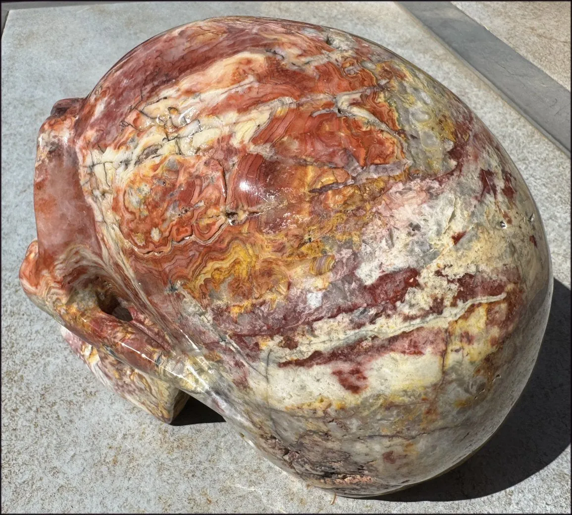 ~Super Sale~ LifeSize RED Crazy Lace Agate Crystal Skull - Laughter, Divination - 15lbs 