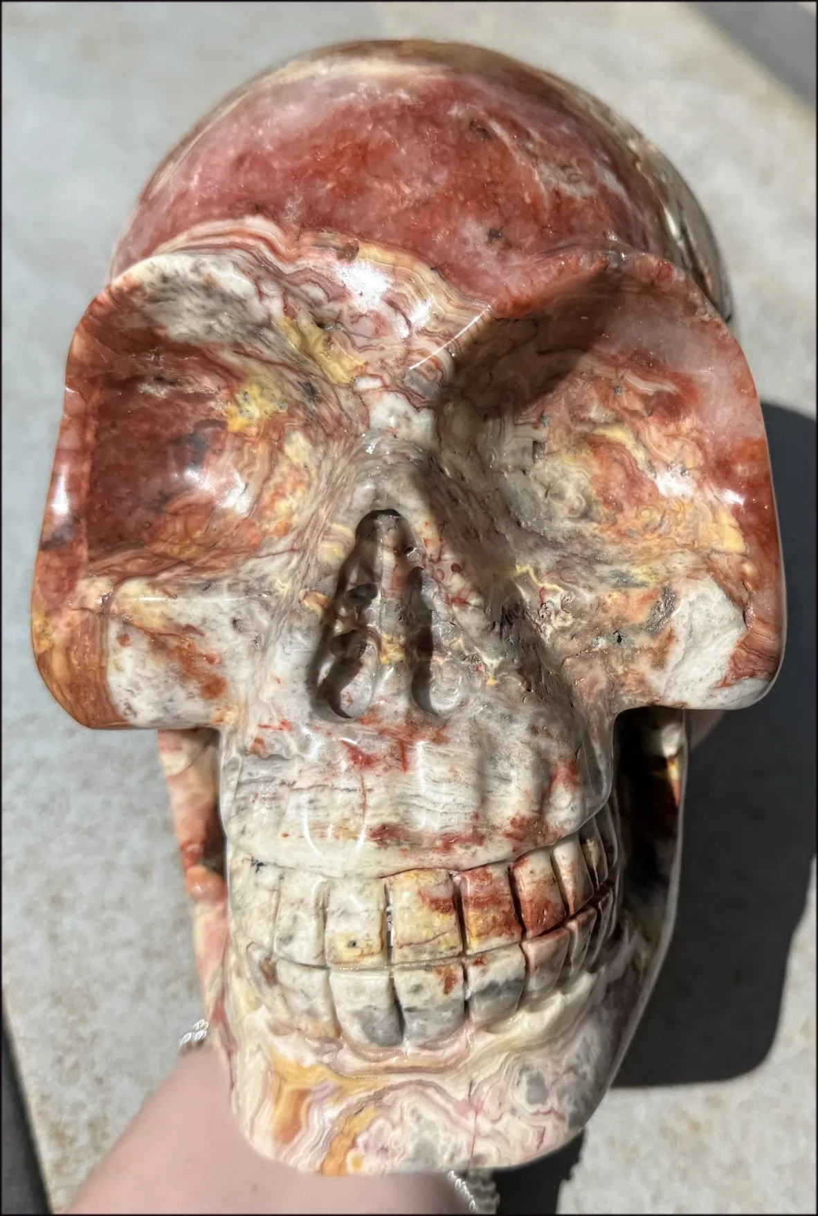 ~Super Sale~ LifeSize RED Crazy Lace Agate Crystal Skull - Laughter, Divination - 15lbs 