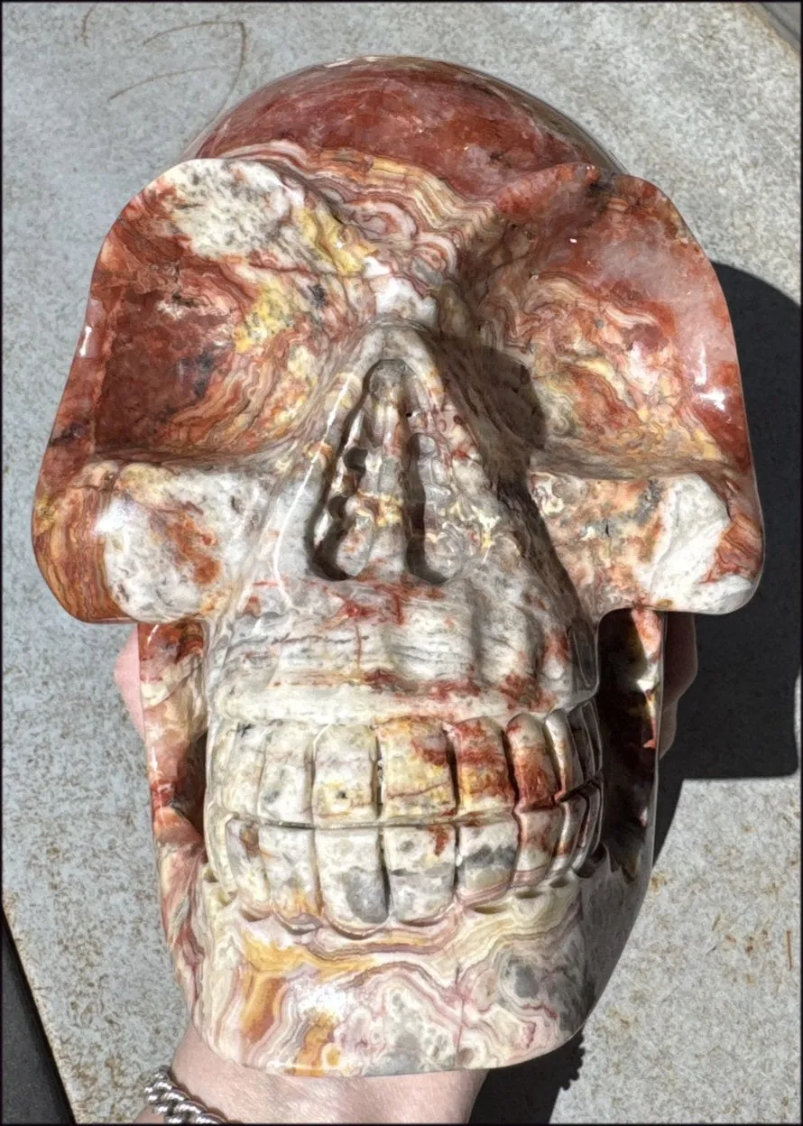 ~Super Sale~ LifeSize RED Crazy Lace Agate Crystal Skull - Laughter, Divination - 15lbs 