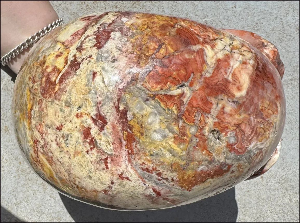 ~Super Sale~ LifeSize RED Crazy Lace Agate Crystal Skull - Laughter, Divination - 15lbs 
