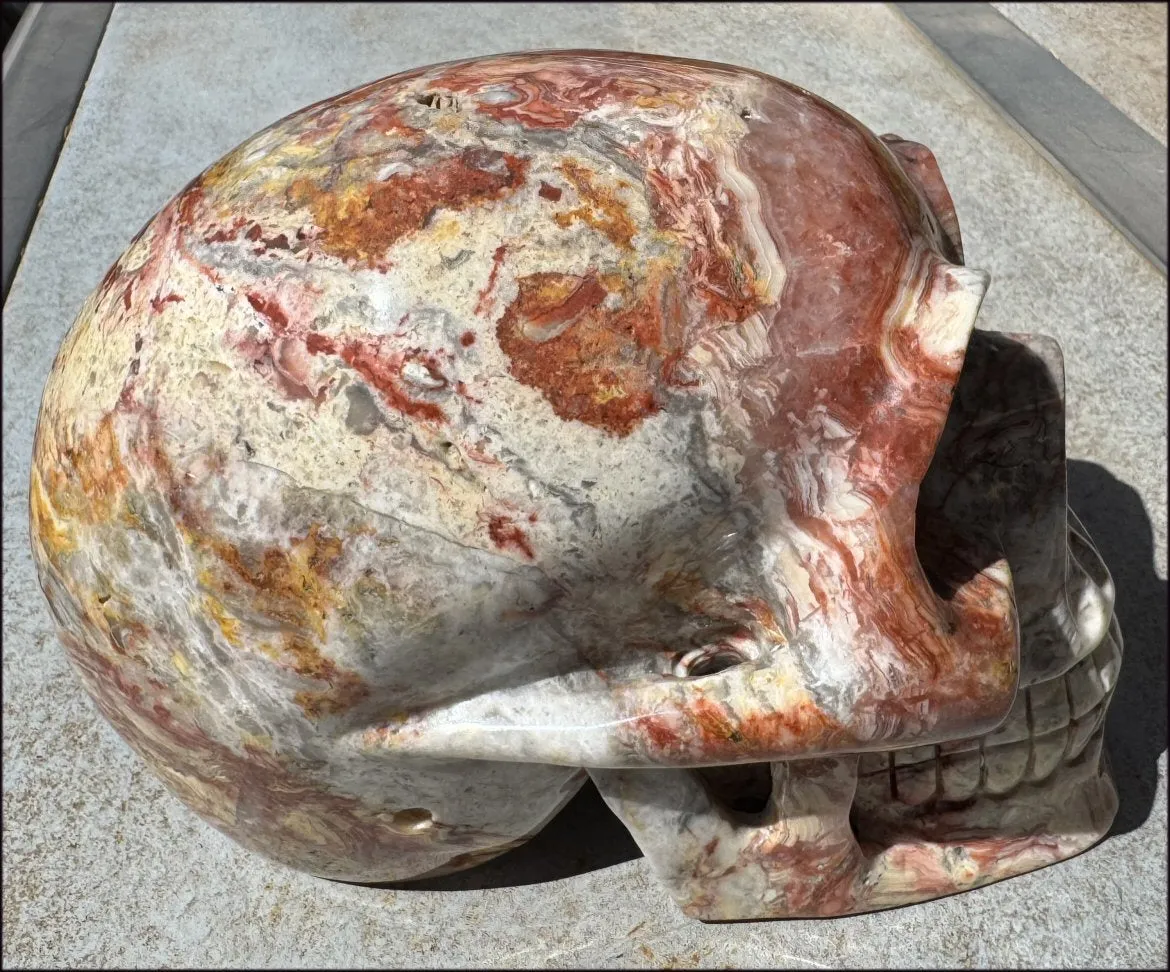 ~Super Sale~ LifeSize RED Crazy Lace Agate Crystal Skull - Laughter, Divination - 15lbs 