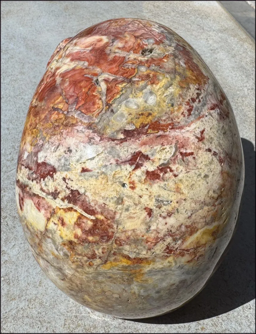 ~Super Sale~ LifeSize RED Crazy Lace Agate Crystal Skull - Laughter, Divination - 15lbs 