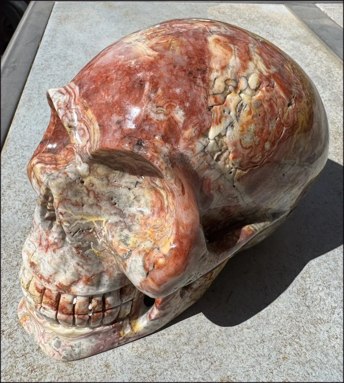 ~Super Sale~ LifeSize RED Crazy Lace Agate Crystal Skull - Laughter, Divination - 15lbs 