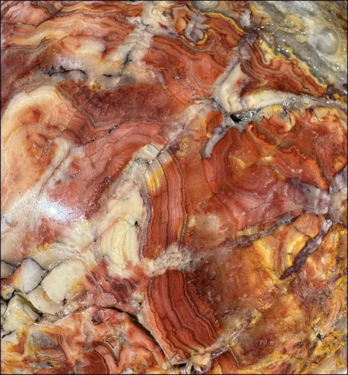 ~Super Sale~ LifeSize RED Crazy Lace Agate Crystal Skull - Laughter, Divination - 15lbs 